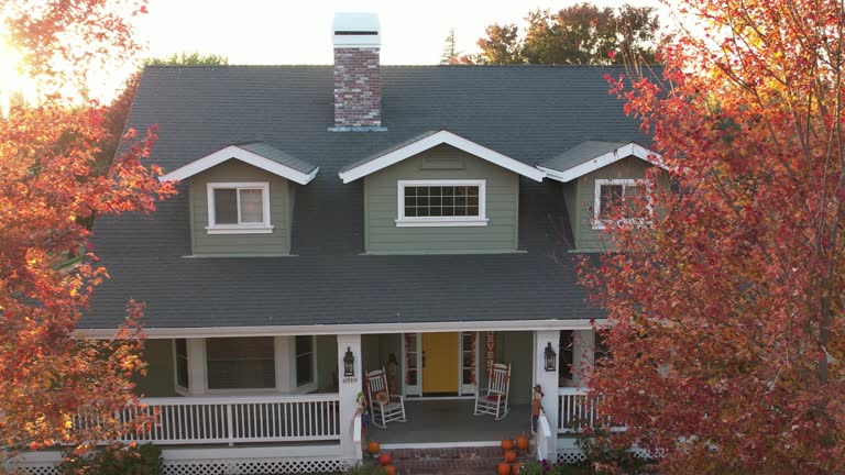 Best Roof Maintenance and Cleaning  in Bethel, WA